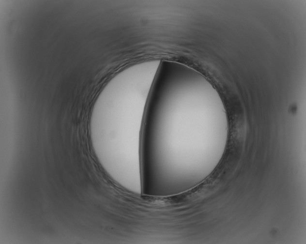 X0000097660513200802290925