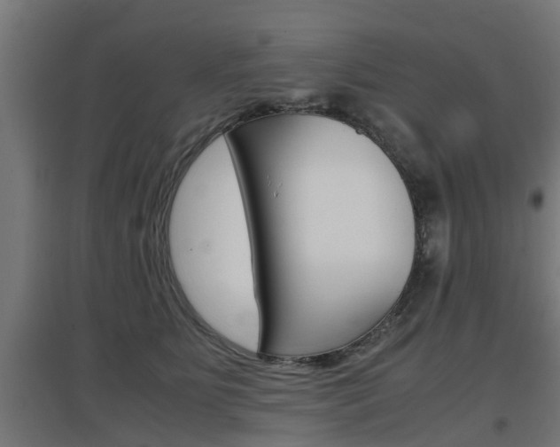 X0000097660515200802290925
