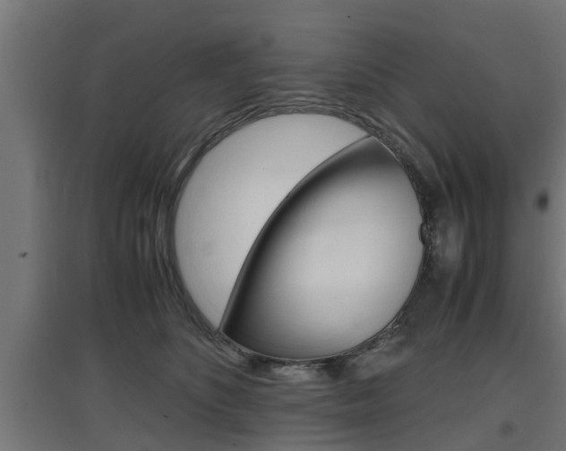 X0000097660516200802290925