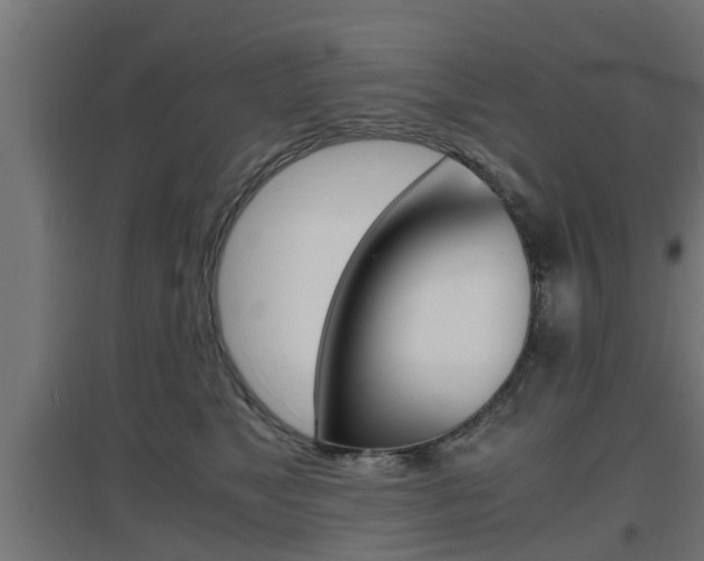 X0000097660517200802290925