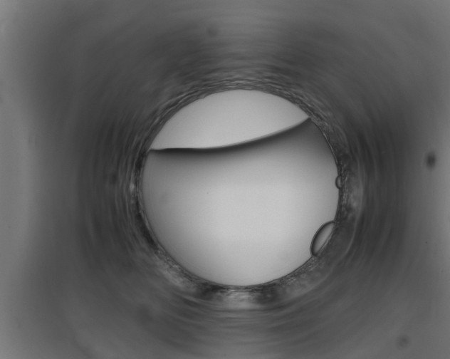 X0000097660518200802290925