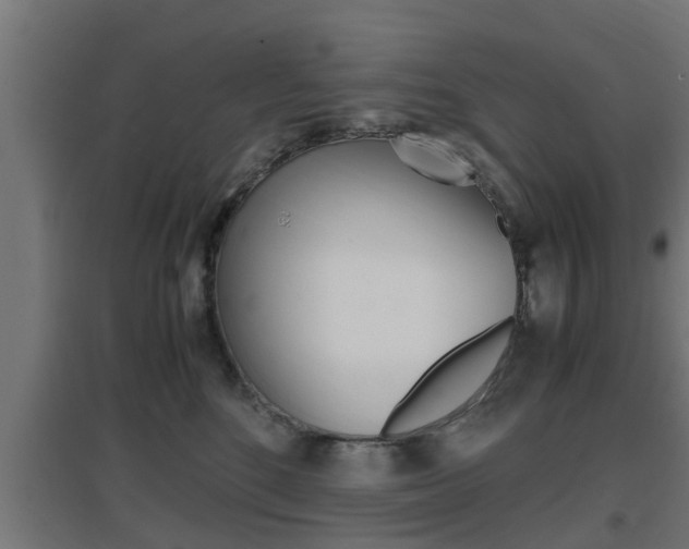 X0000097660520200802290925