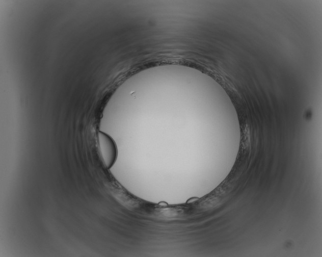 X0000097660522200802290925
