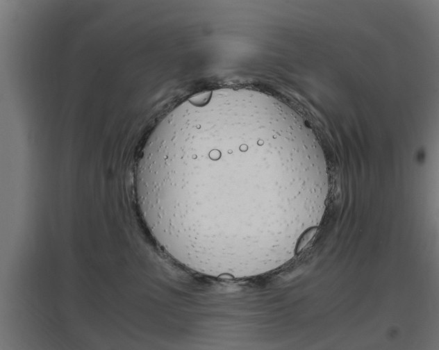 X0000097660523200802290925