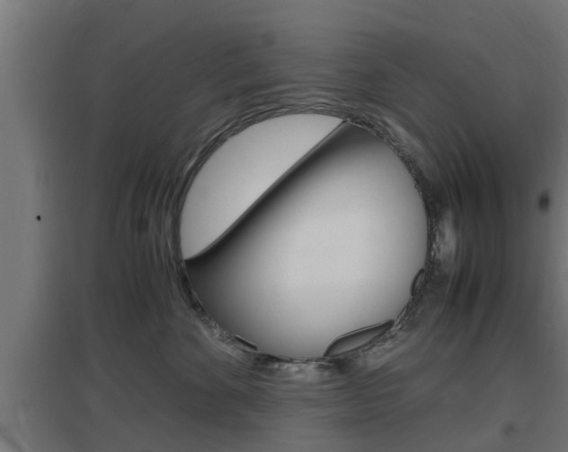 X0000097660524200802290925