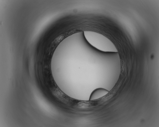 X0000097660526200802290925