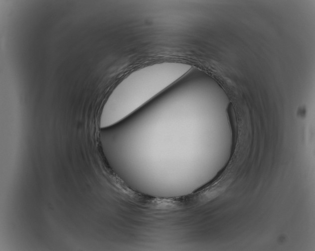 X0000097660528200802290925