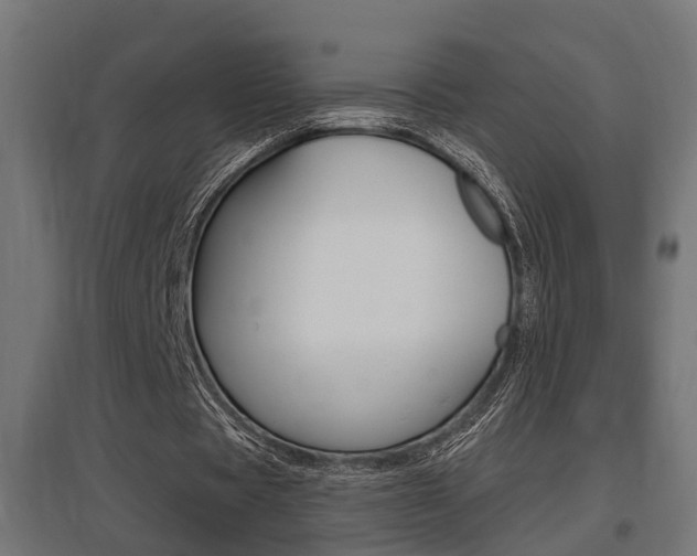 X0000097660529200802290924