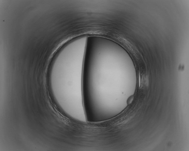 X0000097660531200802290924