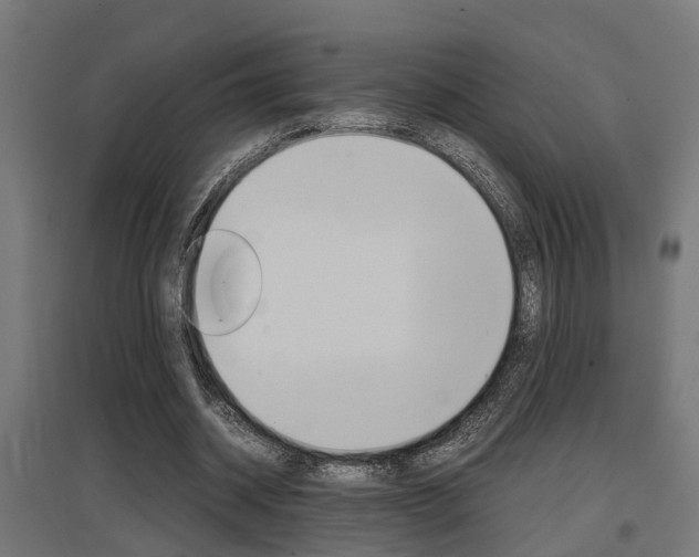 X0000097660534200802290924