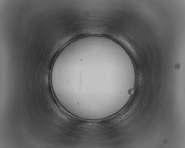 X0000097660537200802290924