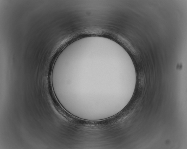 X0000097660538200802290924