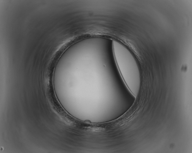 X0000097660539200802290924