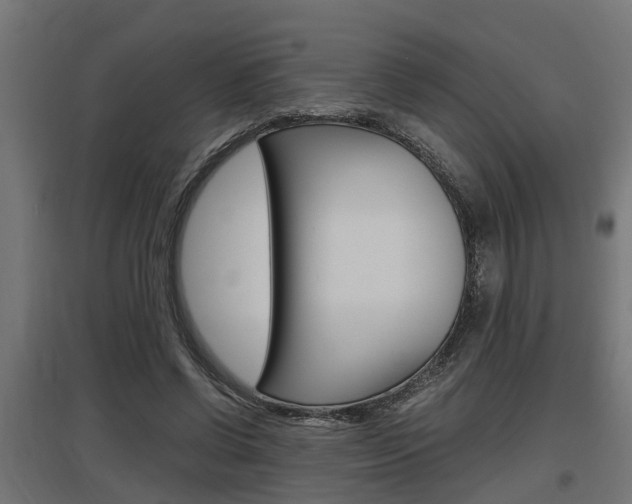 X0000097660542200802290924
