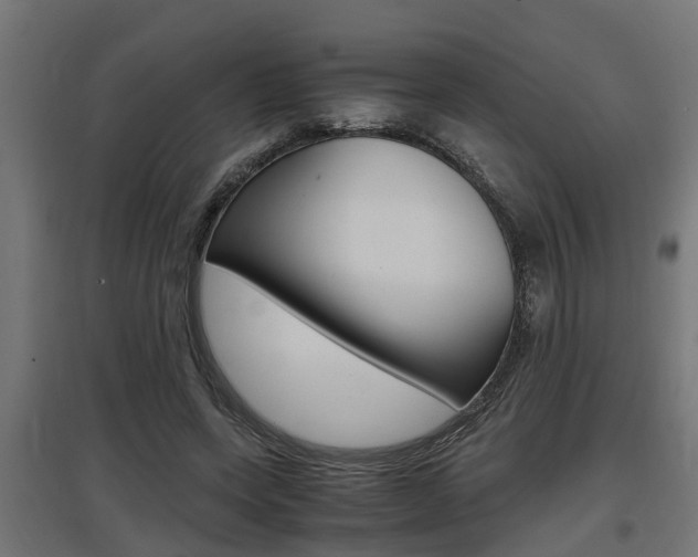 X0000097660543200802290924