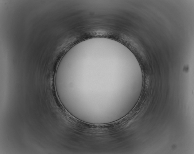 X0000097660545200802290924