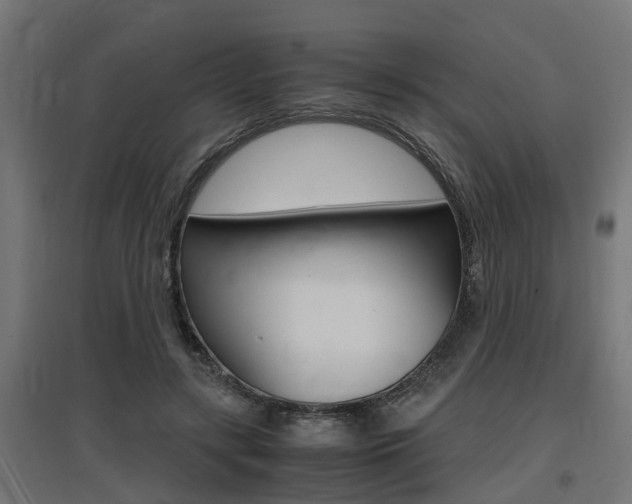 X0000097660547200802290924