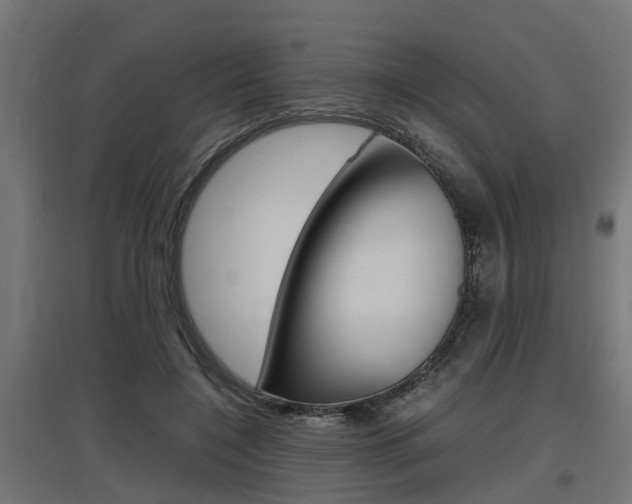 X0000097660548200802290924