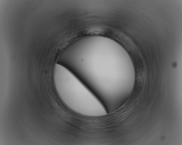 X0000097660551200802290924