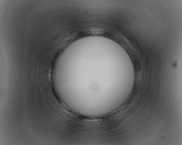 X0000097660553200802290924