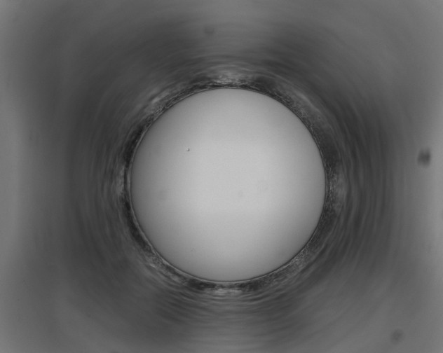 X0000097660554200802290924