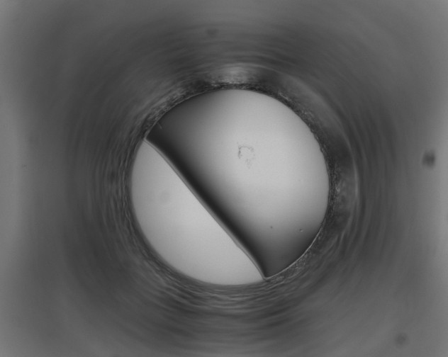 X0000097660555200802290924