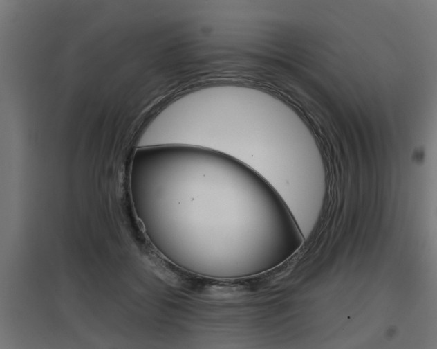 X0000097660556200802290924
