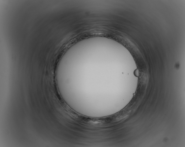 X0000097660557200802290924