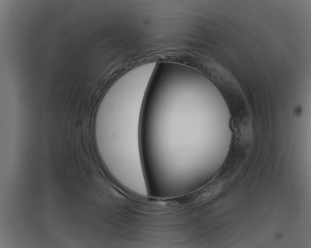 X0000097660558200802290924
