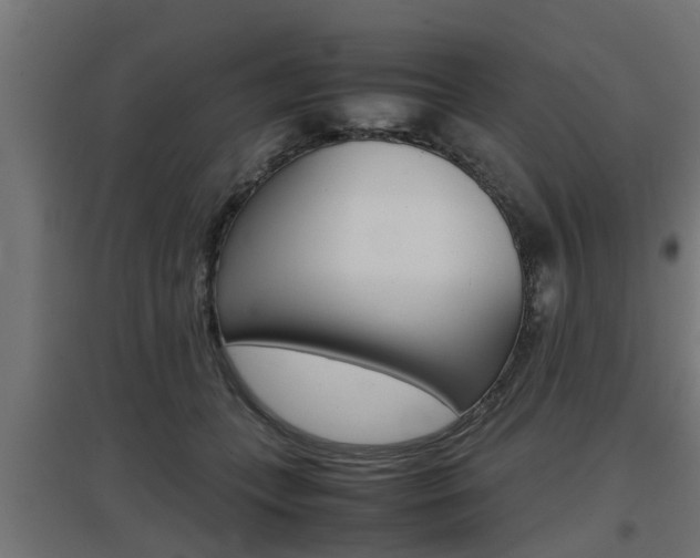 X0000097660559200802290924
