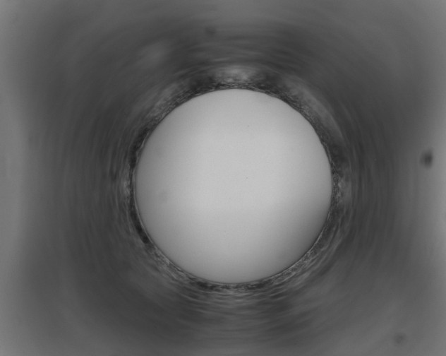 X0000097660561200802290924