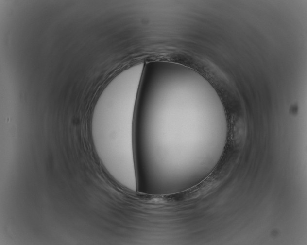X0000097660562200802290924