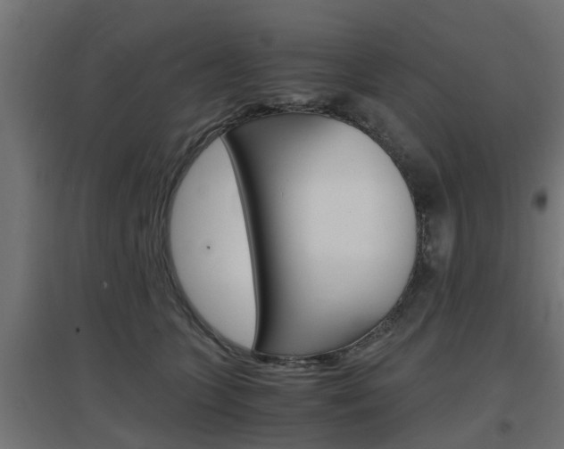 X0000097660563200802290924