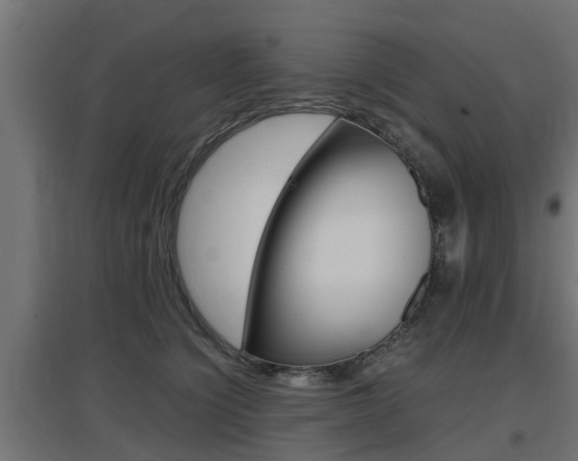 X0000097660564200802290924