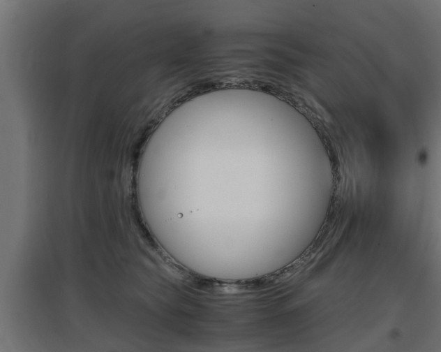 X0000097660565200802290924