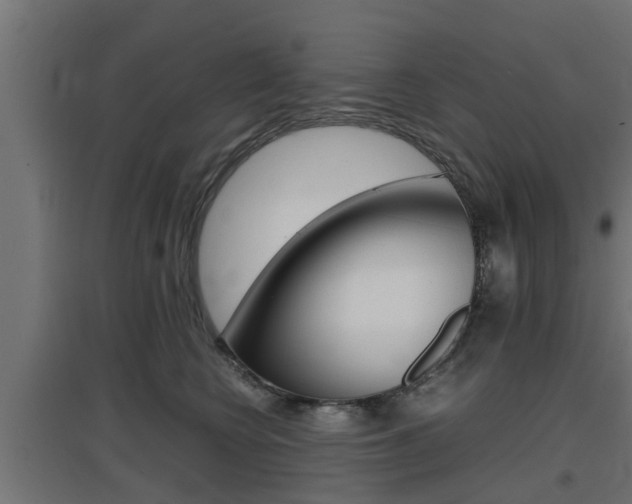 X0000097660566200802290924