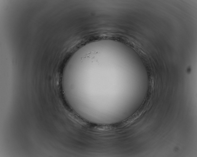 X0000097660567200802290924