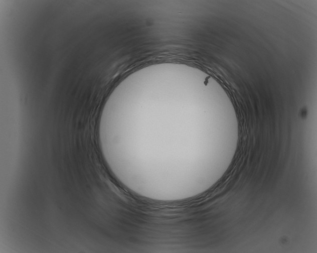 X0000097660568200802290924