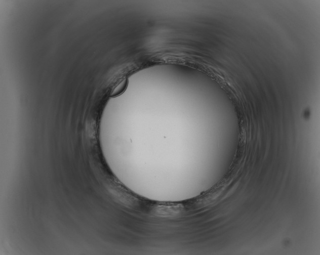 X0000097660571200802290924