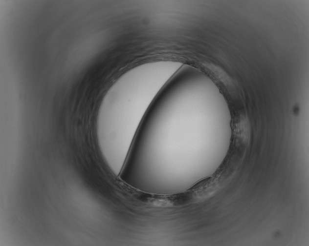 X0000097660572200802290924
