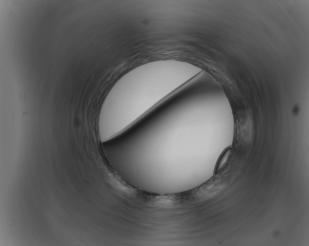X0000097660574200802290925