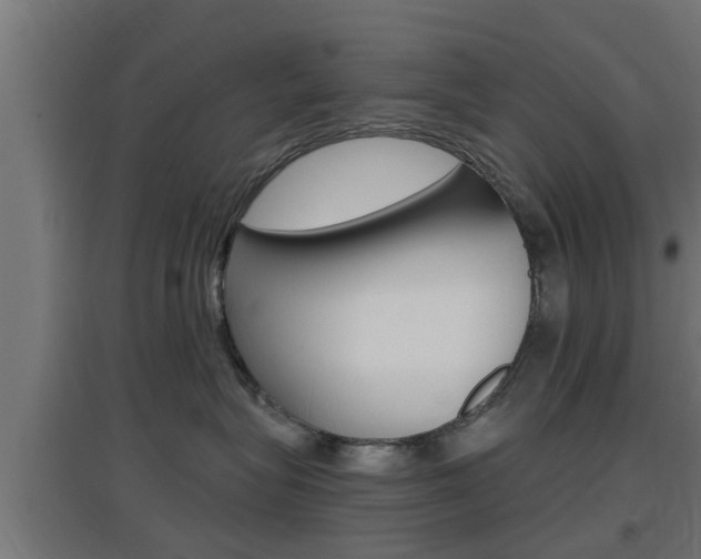 X0000097660575200802290925