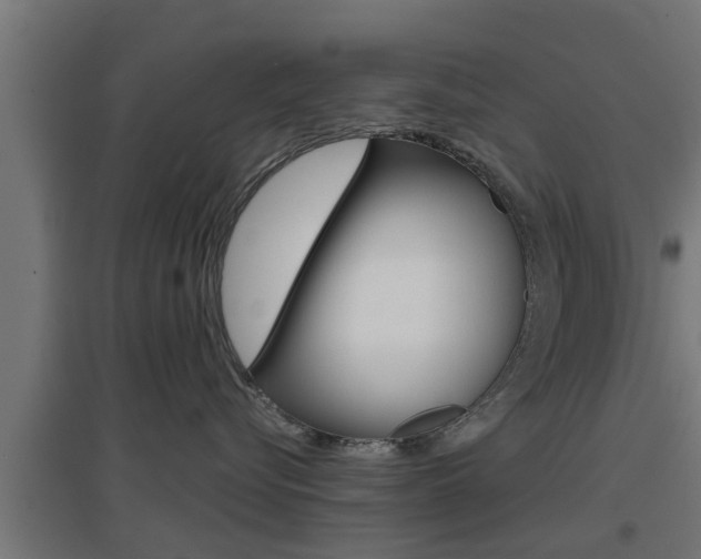 X0000097660576200802290925