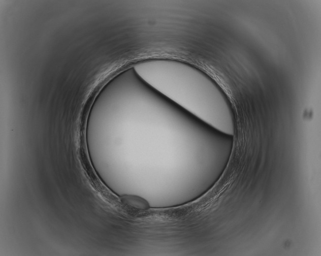 X0000097660578200802290924