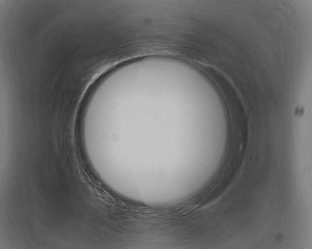 X0000097660579200802290924