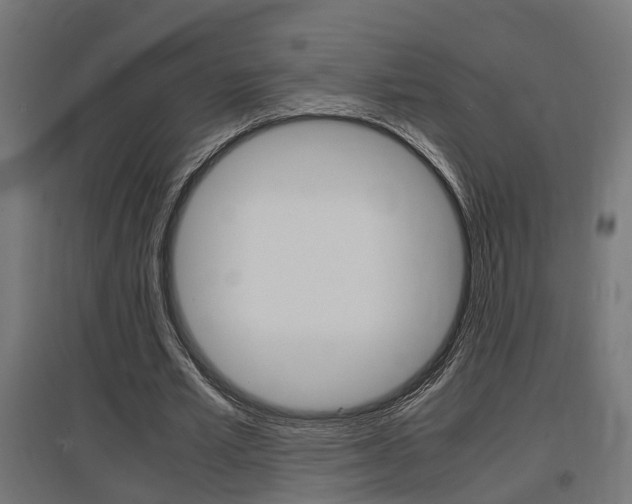 X0000097660581200802290924