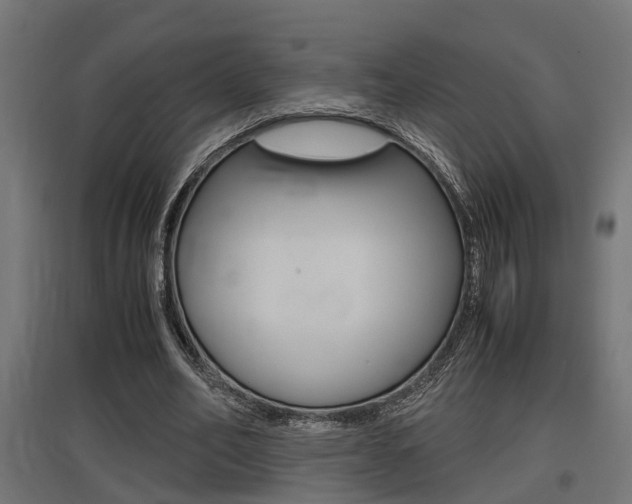 X0000097660582200802290924