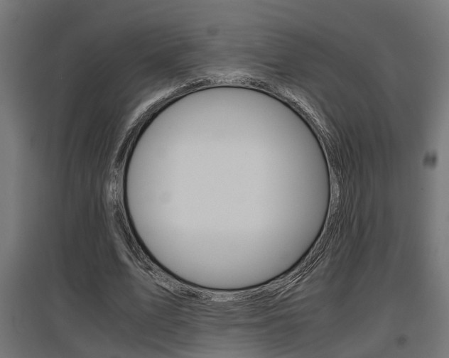 X0000097660583200802290924