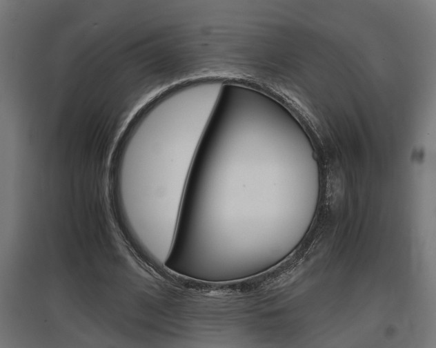 X0000097660584200802290924
