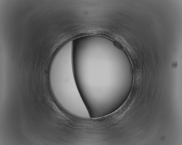 X0000097660585200802290924